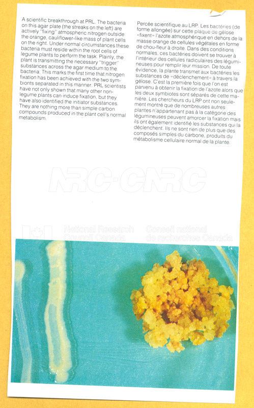 Brochure Biological Sciences 82-03-011