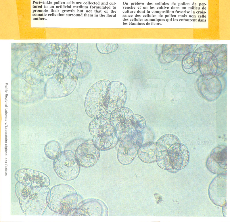Brochure Biological Sciences 82-03-022