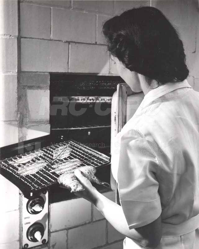 Food Chemistry- Meat Storage c.1948 002