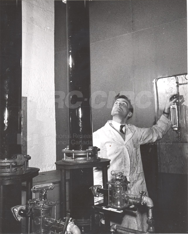 Citric Acid Fermentation 1953