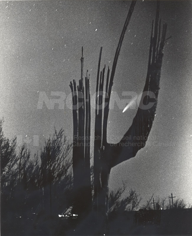 Comet Bennett- Seen From the Desert near Tucson Arizona (Photograph sent by Stephen Larson)March 27 1970