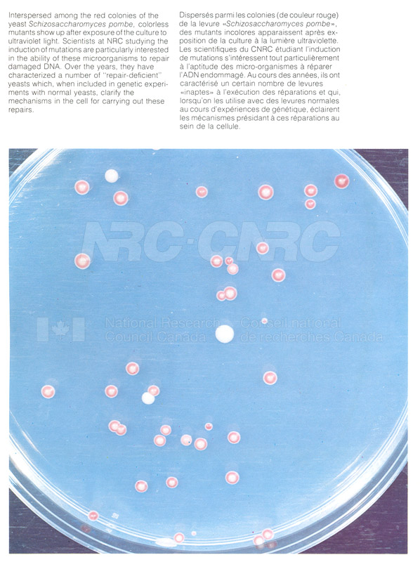 Brochure Biological Sciences 82-02-008 001