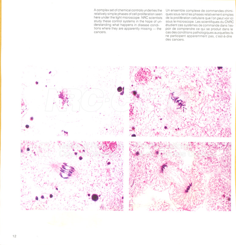 Brochure Biological Sciences 82-02-007
