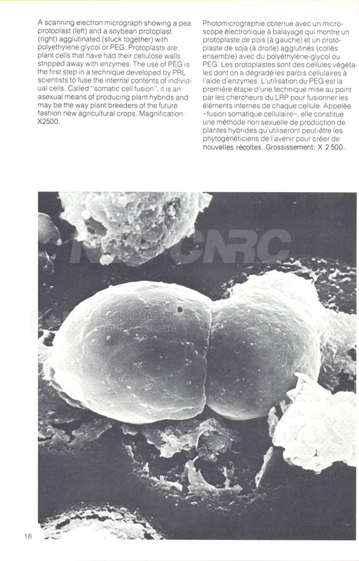 Brochure Biological Sciences 82-03-042