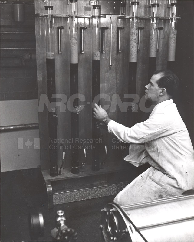 Fermentations and Enzymology Production of Citric Acid 1953