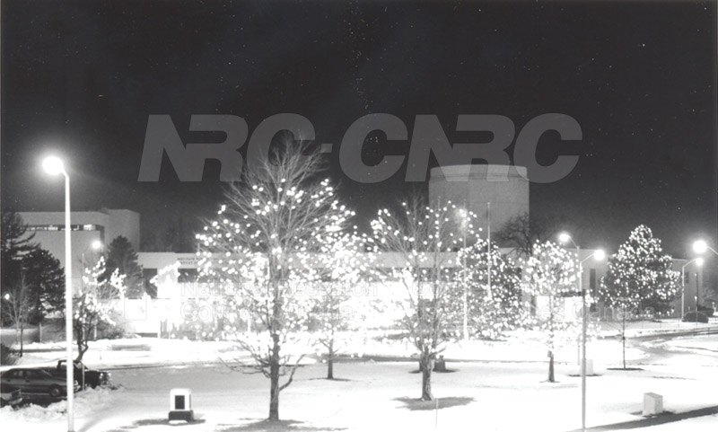 Montreal Road Campus Decorated for Christmas, Lights in trees outside M-20 002