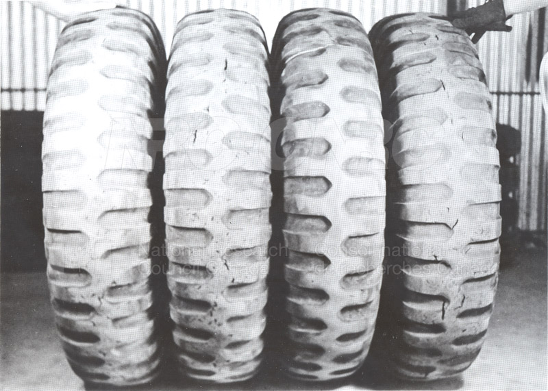 Rubber Lab- Lignan Reinforced Tires 002