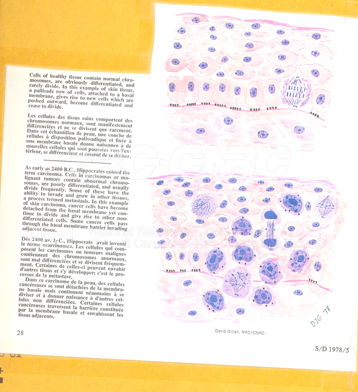 Brochure pour les sciences biologiques 82-02-026