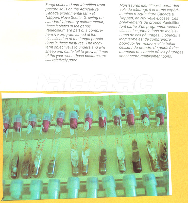 Brochure pour laboratoire régional de l'Atlantique 82-01-005