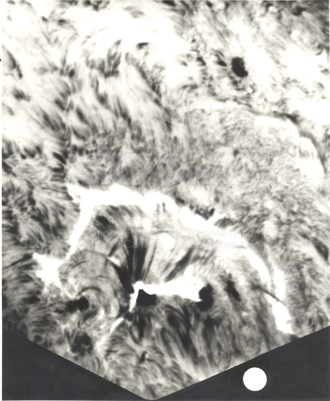 Solar Flare- Photographed Through NRC's Solar Telescope April 28 1978