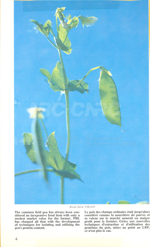 Brochure pour les sciences biologiques 82-03-033
