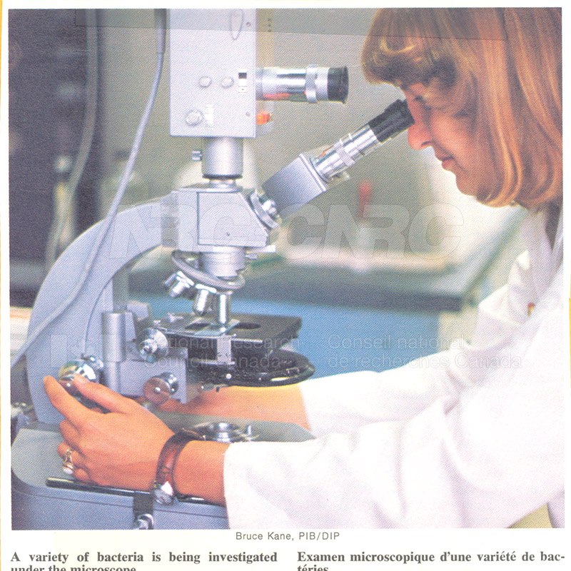 Brochure pour les sciences biologiques 82-02-025