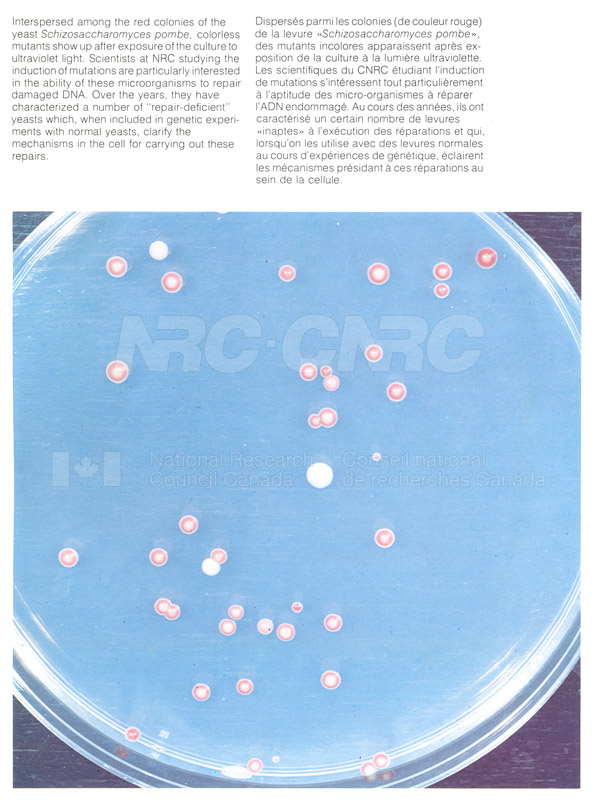 Brochure pour les sciences biologiques 82-02-008 001