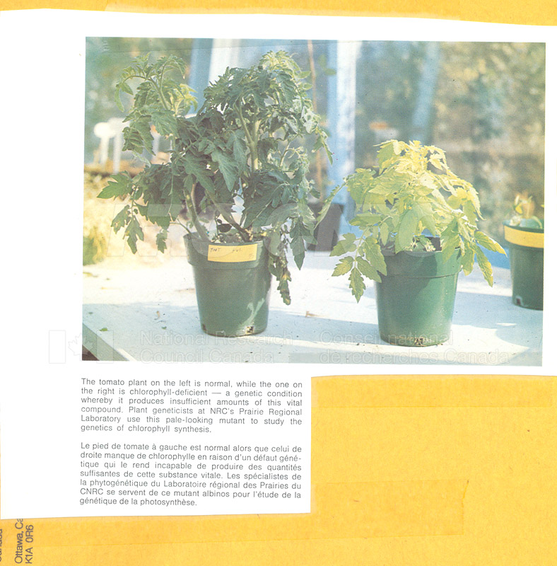 Brochure pour les sciences biologiques 82-03-025