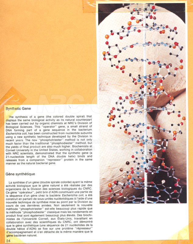 Brochure pour les sciences biologiques 82-02-011 002