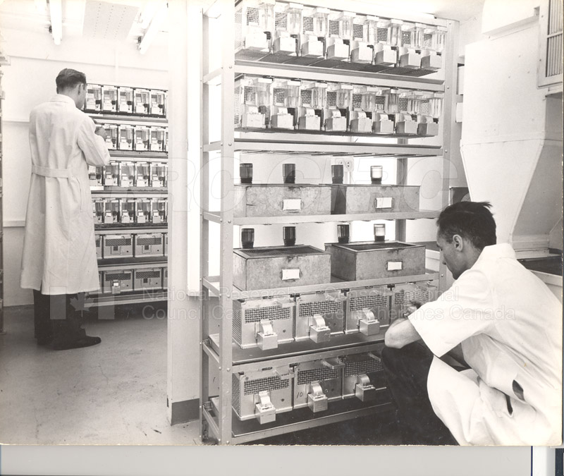 Dr. S. Hart- Animal Labs 1950