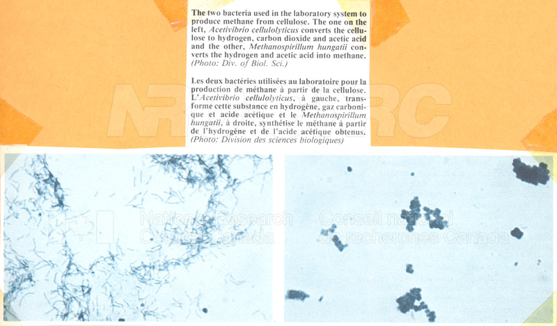 Brochure pour les sciences biologiques 82-02-022
