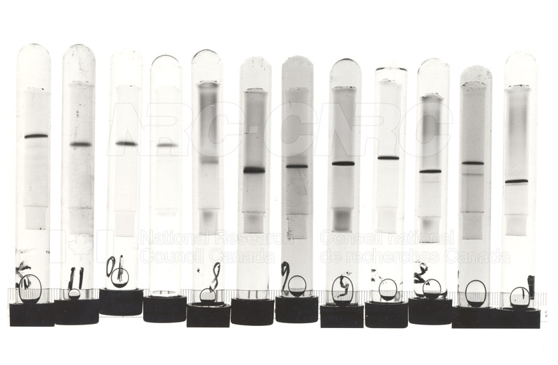 Pending Publication 007