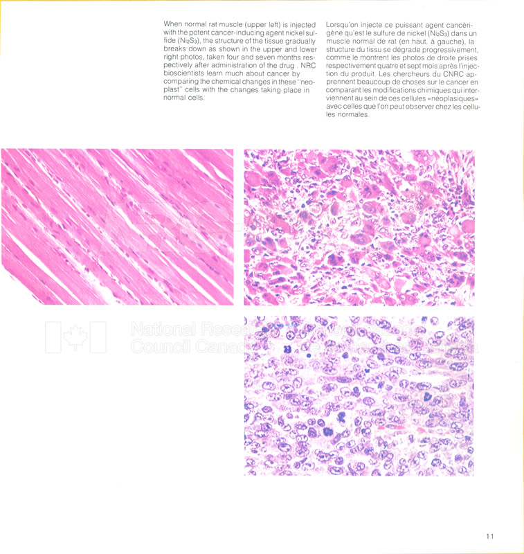 Brochure pour les sciences biologiques 82-02-006