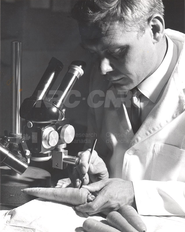 Biosciences Division-expériences visant à déterminer l'effet de l'humidité sur la durée de conservation des carottes 1966 002