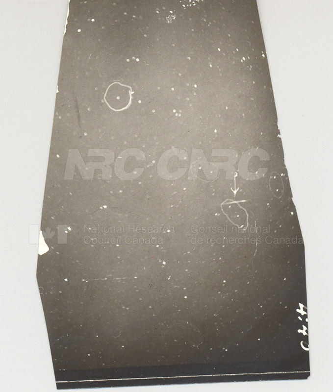 Photo of Leonid Meteor by Watson- Pamona College 1932