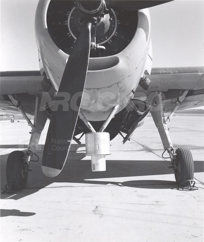 REED Print #3964 001